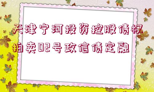 天津?qū)幒油顿Y控股債權拍賣02號政信債定融