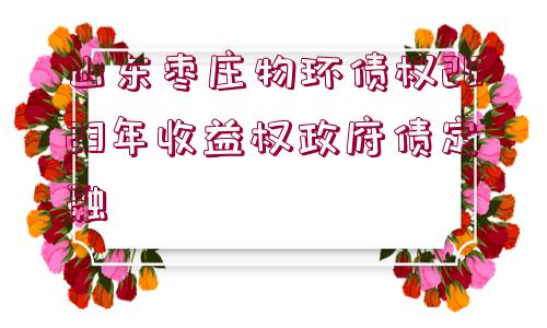 山東棗莊物環(huán)債權(quán)2023年收益權(quán)政府債定融