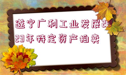 遂寧廣利工業(yè)發(fā)展2023年特定資產(chǎn)拍賣