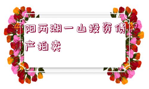 簡(jiǎn)陽(yáng)兩湖一山投資債權(quán)資產(chǎn)拍賣