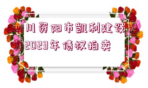 四川資陽市凱利建設(shè)投資2023年債權(quán)拍賣