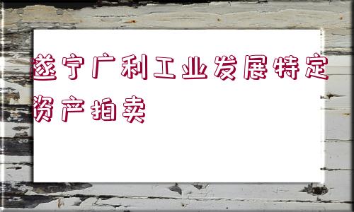 遂寧廣利工業(yè)發(fā)展特定資產(chǎn)拍賣(mài)