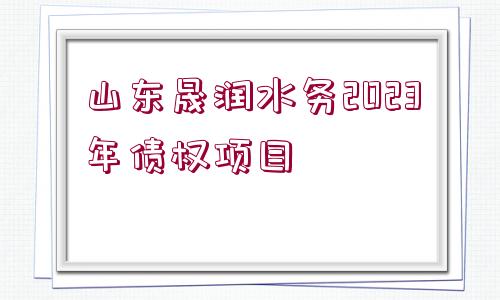 山東晟潤水務(wù)2023年債權(quán)項(xiàng)目