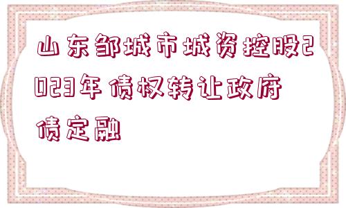 山東鄒城市城資控股2023年債權(quán)轉(zhuǎn)讓政府債定融