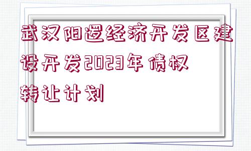 武漢陽邏經(jīng)濟開發(fā)區(qū)建設(shè)開發(fā)2023年債權(quán)轉(zhuǎn)讓計劃