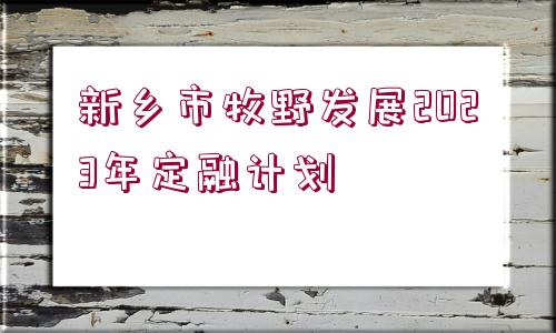 新鄉(xiāng)市牧野發(fā)展2023年定融計(jì)劃