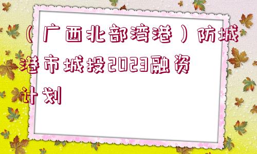 （廣西北部灣港）防城港市城投2023融資計劃