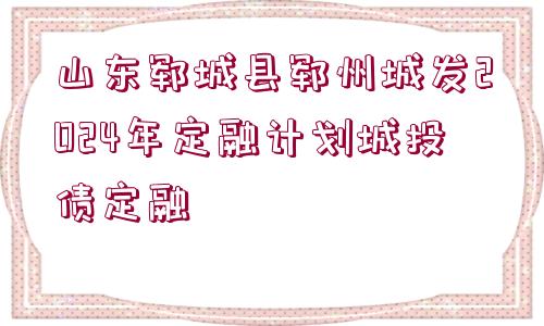 山東鄆城縣鄆州城發(fā)2024年定融計劃城投債定融