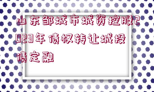 山東鄒城市城資控股2023年債權(quán)轉(zhuǎn)讓城投債定融