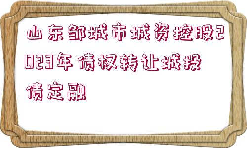 山東鄒城市城資控股2023年債權(quán)轉(zhuǎn)讓城投債定融