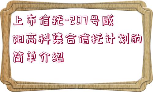 上市信托-207號(hào)咸陽高科集合信托計(jì)劃的簡單介紹