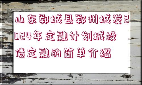 山東鄆城縣鄆州城發(fā)2024年定融計(jì)劃城投債定融的簡(jiǎn)單介紹