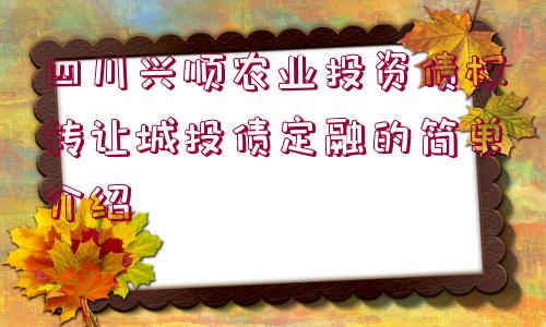 四川興順農(nóng)業(yè)投資債權(quán)轉(zhuǎn)讓城投債定融的簡(jiǎn)單介紹