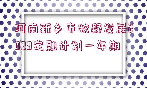 河南新鄉(xiāng)市牧野發(fā)展2023定融計(jì)劃一年期