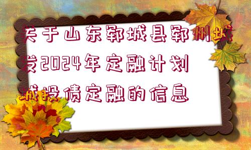 關(guān)于山東鄆城縣鄆州城發(fā)2024年定融計劃城投債定融的信息