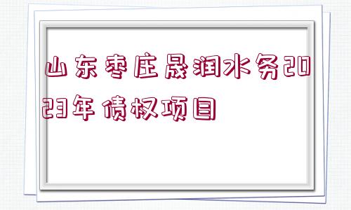 山東棗莊晟潤(rùn)水務(wù)2023年債權(quán)項(xiàng)目