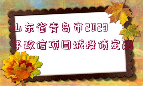 山東省青島市2023年政信項(xiàng)目城投債定融