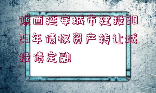 陜西延安城市建投2023年債權(quán)資產(chǎn)轉(zhuǎn)讓城投債定融