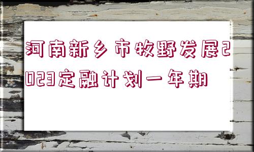 河南新鄉(xiāng)市牧野發(fā)展2023定融計劃一年期