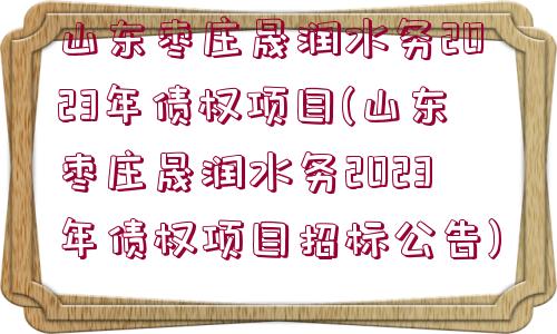 山東棗莊晟潤(rùn)水務(wù)2023年債權(quán)項(xiàng)目(山東棗莊晟潤(rùn)水務(wù)2023年債權(quán)項(xiàng)目招標(biāo)公告)