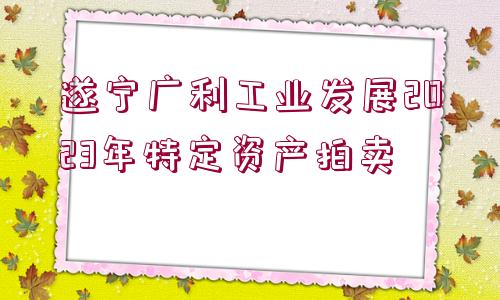 遂寧廣利工業(yè)發(fā)展2023年特定資產(chǎn)拍賣(mài)