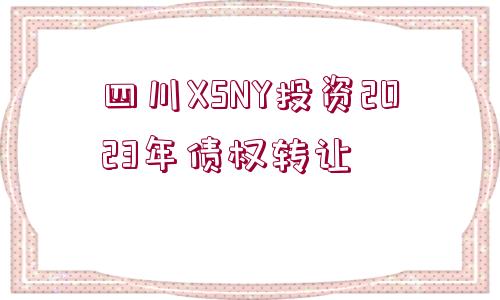 四川XSNY投資2023年債權(quán)轉(zhuǎn)讓