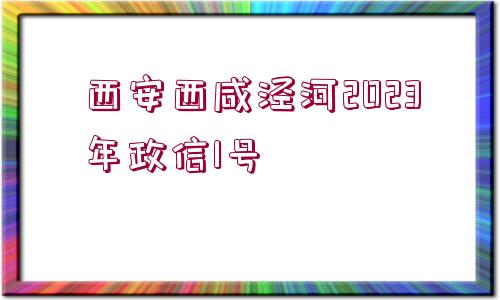 西安西咸涇河2023年政信1號