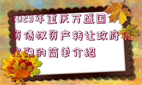 2023年重慶萬盛國資債權(quán)資產(chǎn)轉(zhuǎn)讓政府債定融的簡單介紹