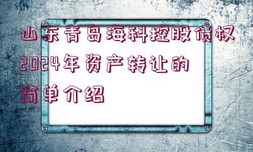 山東青島?？瓶毓蓚鶛?quán)2024年資產(chǎn)轉(zhuǎn)讓的簡(jiǎn)單介紹