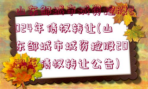 山東鄒城市城資控股2024年債權轉讓(山東鄒城市城資控股2024年債權轉讓公告)