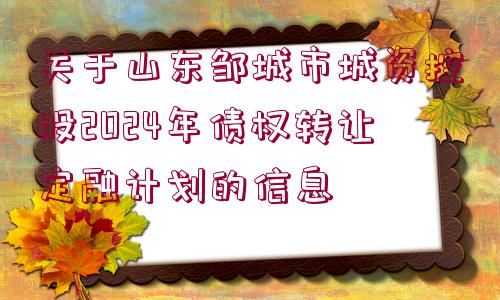 關(guān)于山東鄒城市城資控股2024年債權(quán)轉(zhuǎn)讓定融計(jì)劃的信息