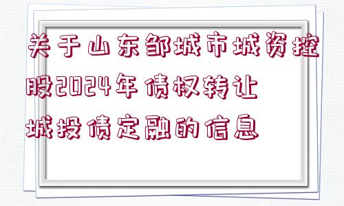 關(guān)于山東鄒城市城資控股2024年債權(quán)轉(zhuǎn)讓城投債定融的信息