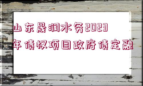 山東晟潤(rùn)水務(wù)2023年債權(quán)項(xiàng)目政府債定融