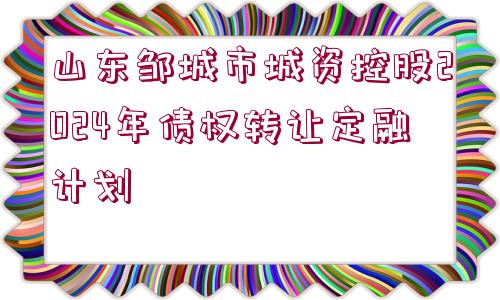 山東鄒城市城資控股2024年債權(quán)轉(zhuǎn)讓定融計(jì)劃