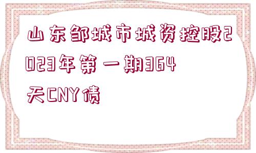 山東鄒城市城資控股2023年第一期364天CNY債