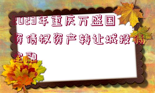 2023年重慶萬盛國資債權(quán)資產(chǎn)轉(zhuǎn)讓城投債定融