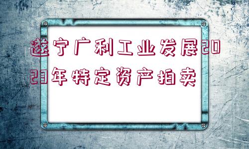 遂寧廣利工業(yè)發(fā)展2023年特定資產(chǎn)拍賣(mài)