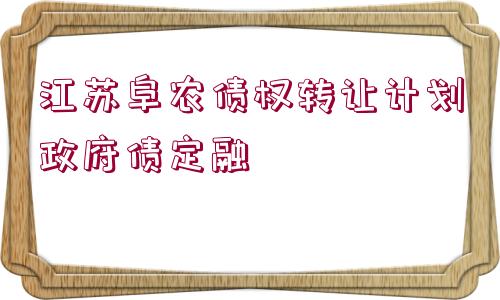 江蘇阜農(nóng)債權(quán)轉(zhuǎn)讓計劃政府債定融