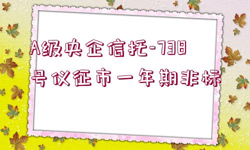 A級央企信托-738號儀征市一年期非標