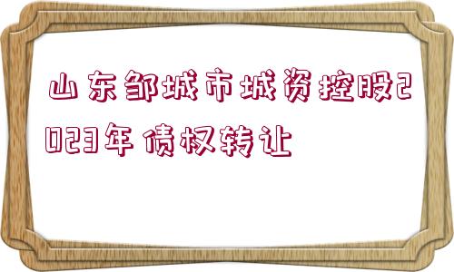 山東鄒城市城資控股2023年債權(quán)轉(zhuǎn)讓