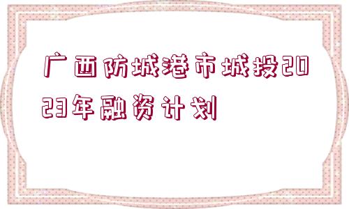 廣西防城港市城投2023年融資計劃