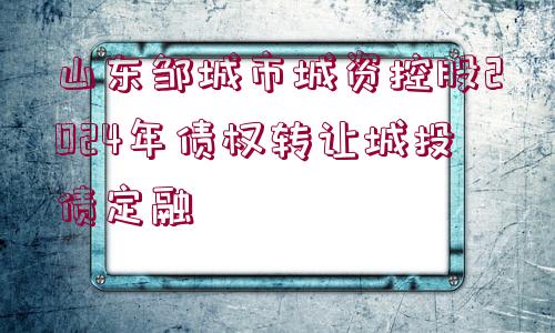 山東鄒城市城資控股2024年債權(quán)轉(zhuǎn)讓城投債定融