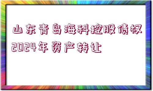 山東青島海科控股債權2024年資產(chǎn)轉(zhuǎn)讓