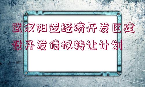 武漢陽邏經(jīng)濟開發(fā)區(qū)建設開發(fā)債權轉讓計劃