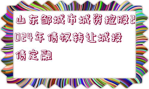 山東鄒城市城資控股2024年債權(quán)轉(zhuǎn)讓城投債定融