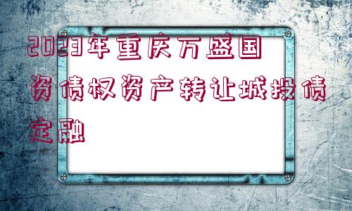 2023年重慶萬盛國資債權(quán)資產(chǎn)轉(zhuǎn)讓城投債定融