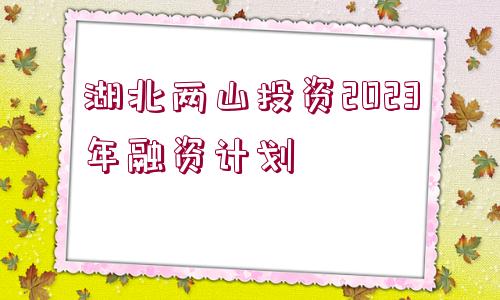 湖北兩山投資2023年融資計劃