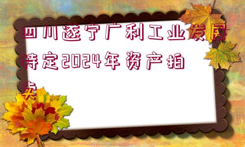 四川遂寧廣利工業(yè)發(fā)展特定2024年資產(chǎn)拍賣