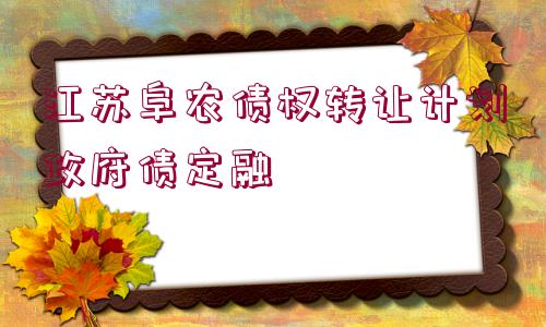 江蘇阜農(nóng)債權(quán)轉(zhuǎn)讓計(jì)劃政府債定融