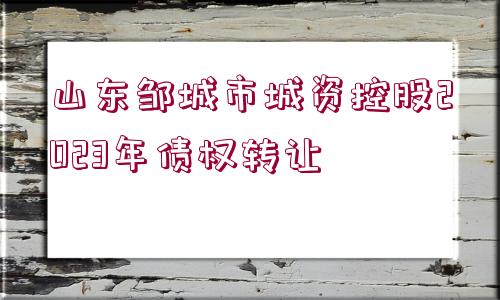 山東鄒城市城資控股2023年債權(quán)轉(zhuǎn)讓